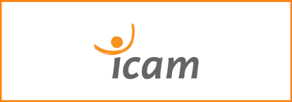 ICAM Lille